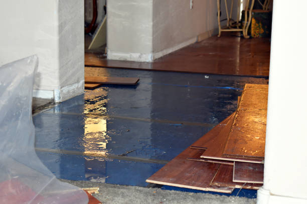 Professional Flood Cleanup technician working in Belfair, WA